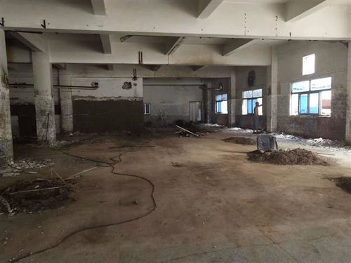 地震無情，數(shù)據(jù)有心 揭秘開平市幼兒園房屋抗震檢測(cè)成本的多維考量